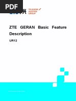 2 5.1 ZTE GERAN UR12 Basic Feature Descr