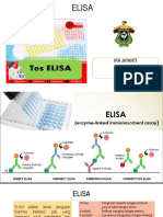 Elisa Ira PDF