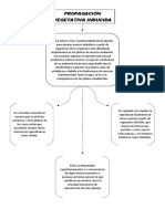 Propagación Vegetativa Inducida