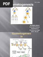 Gametogenesis: Mrs Madhu Mishra Associate Professor Department of Lifescience (Zoology) RNTU, Bhopal