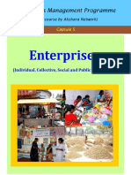 E-Course Capsule 5 Enterprises