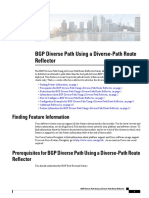 BGP Diverse Path Title