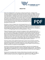 Report About Fish PDF