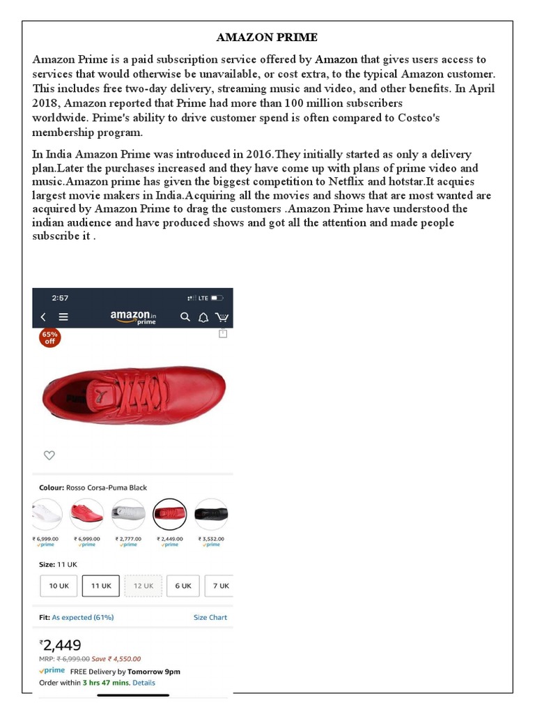 Amazon Prime: User Satisfaction Analysis | PDF | Business