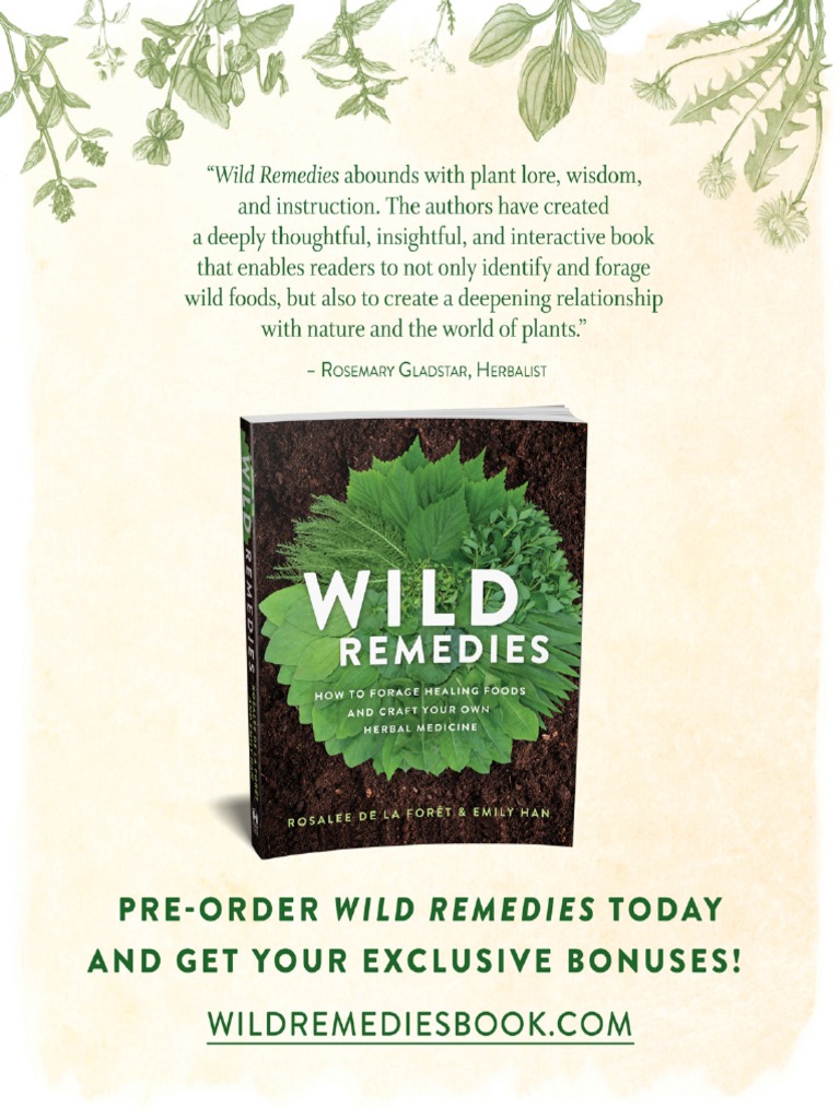 Wild Remedies Guide To Cottonwood PDF Trees Allergy