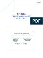 Pitrela: Team Research Project