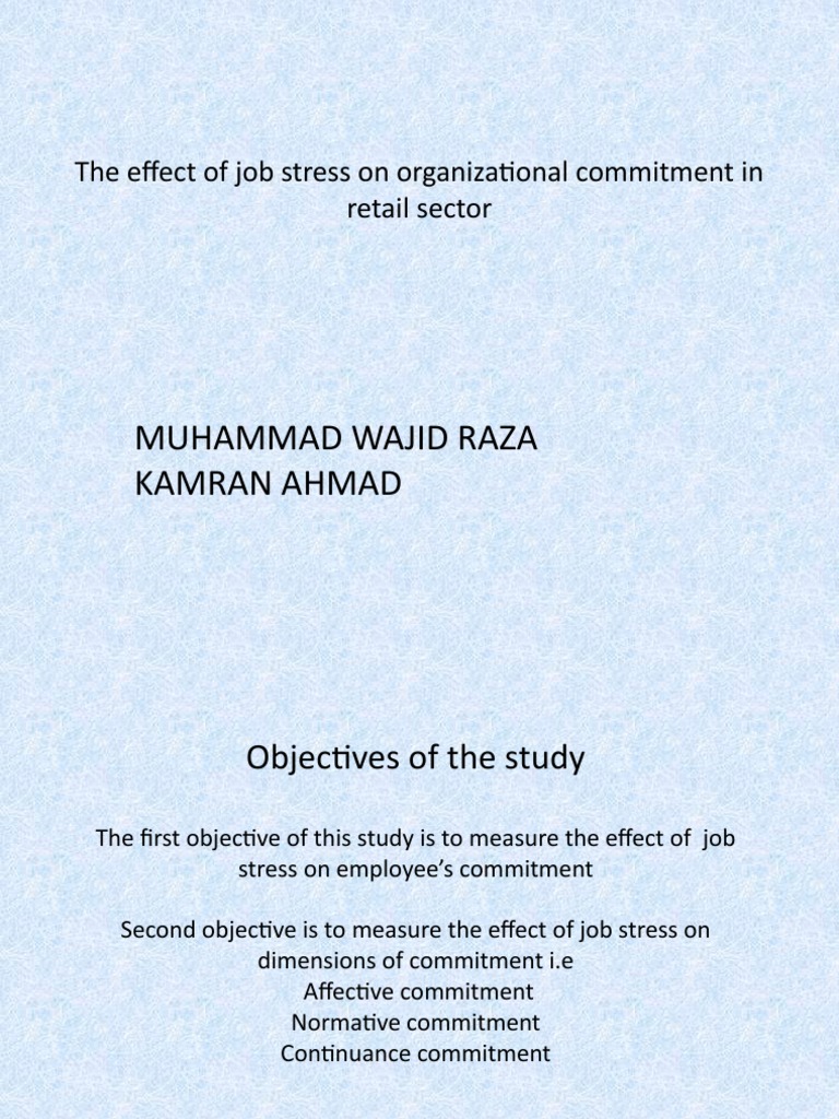 Muhammad Wajid Raza Kamran Ahmad: The Effect of Job Stress On ...
