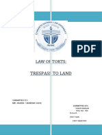 242988209-Trespass-to-land.docx