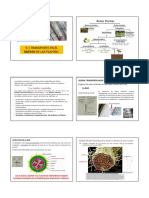 9.1 TRANSPORTE EN EL XILEMA DE LAS PLANTAS (2) (1).pdf
