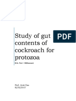 Gut Contents of Cockroach PDF