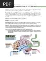 Area of The Brain