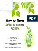 Apresentacao_Folhas.pdf