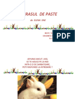 0_0iepurasuldepaste.ppt