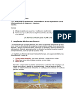 Guía de Biología 9-02 PDF