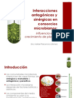 Sinergismo & antagonismo Tema 6.pdf