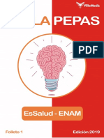 Villapepas Ed. 2019 - Folleto 1 PDF