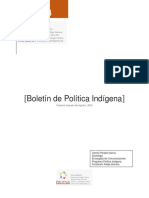 Boletin de Politica Indigena 01 2014