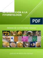 Introducción A La Fitopatología Tarea 1