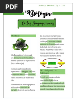 ciclos biogeoquímicos.pdf