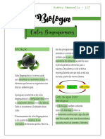 Ciclos biogeoquímicos essenciais