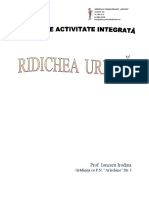 proiect_ridichea_uriasa