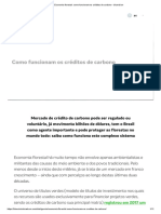 Economia Florestal - Como Funcionam Os Créditos de Carbono - Bluevision