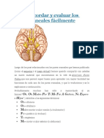 Cómo Recordar y Evaluar Los Pares Craneales