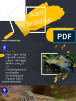 Budidaya Ikan Paradise