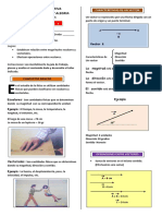 Magnitudes Escalares y Vectoriales