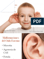 Pabellón Auricular Patologias Oído Externo Trompa de Eustaquio Otitis Media Aguda Otitis Media Secretora