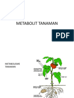 5 Metabolit Tanaman Rev 41018