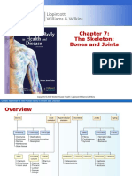 Chapter 7 The Skeleton Bones and Joints