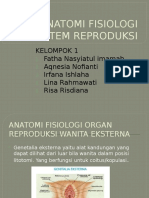 ANATOMI FISIOLOGI SISTEM REPRODUKSI Kelompok 1