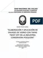 Sebastian - Informe - Títuloprofesional - 2014 - TWO PDF