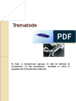 Trematode