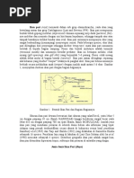 Download Ikan pari by Adhiaksa Noegraha SN45595884 doc pdf