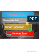 Proses Umum Pemuliaan Tanaman.pdf