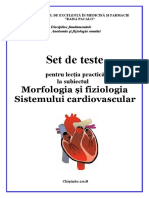 Anatom - Teste Cardiovasc.6386212419686592674