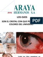 Charla Integral Cuidado de Los Ojo 2020