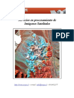 Servicios en procesamiento de imágenes satelitales.pdf