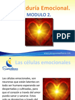 Sabiduria Emocional