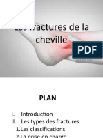 Les Fractures de La Cheville