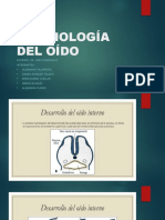 Embriología del oído: Formación membrana timpánica