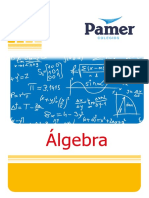 Álgebra 1er año.pdf