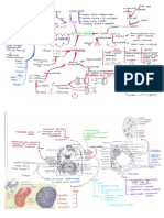 Mind Map Sel