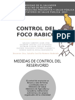 Control Del Foco Rabico Rabia