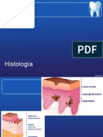 Histologia (Población Extrínseca) Final