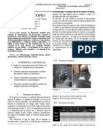 1 Electroscopio PDF