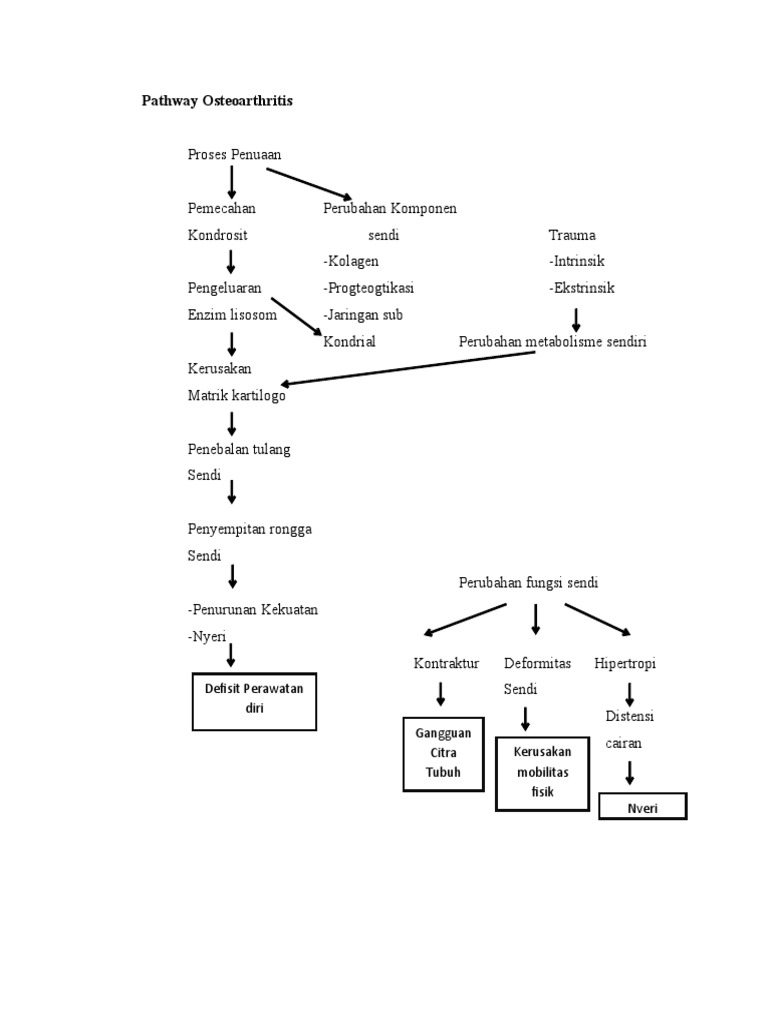 Pathway Osteoarthritis & GENOGRAM | PDF