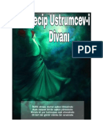 Neci̇p Ustrumcevi̇ Di̇vani